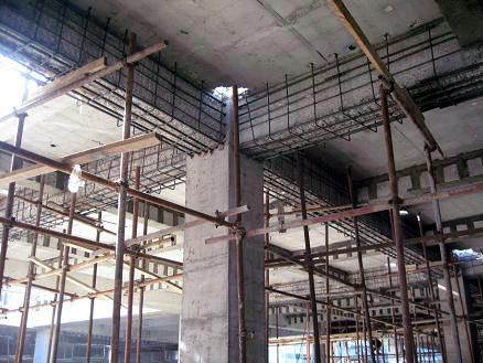 网站建设专业版